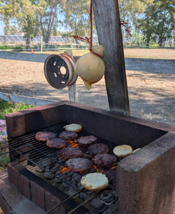area_picnic_01